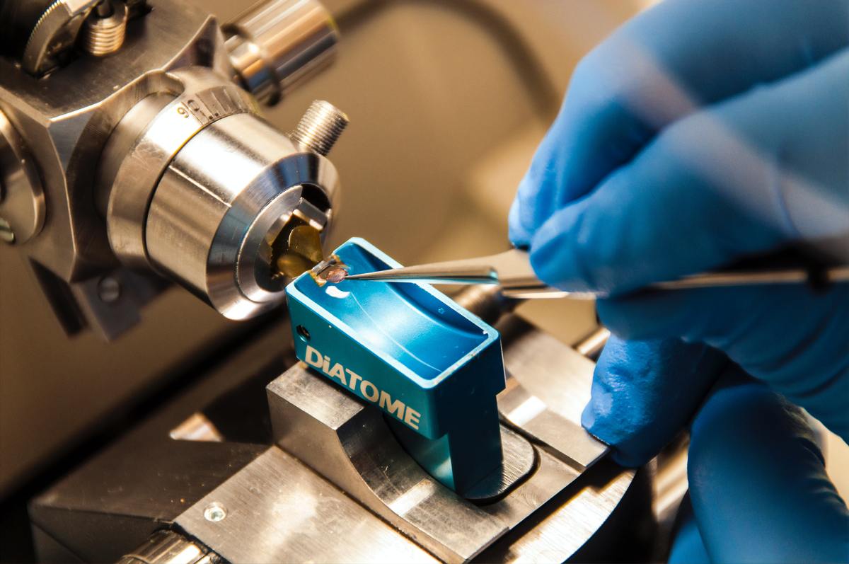 Genomics: A New Field of Medicine on the&nbsp;Rise